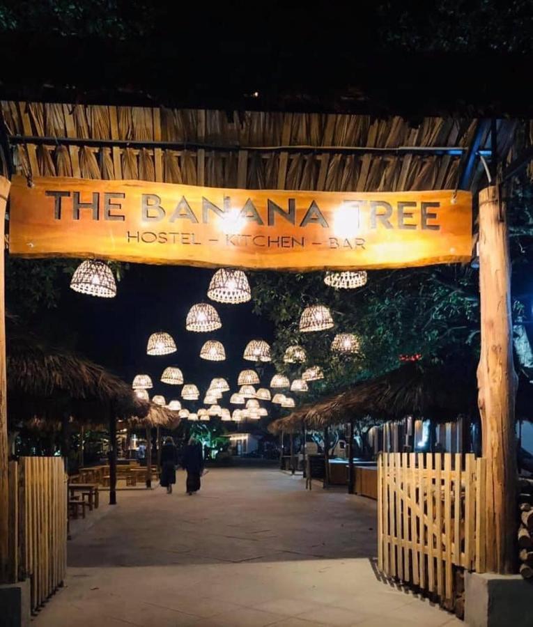 The Banana Tree Hostel Ninh Bình Exteriör bild